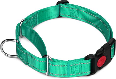 burberry martingale collar|joytale martingale collar.